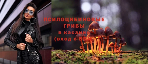 меф Богородицк