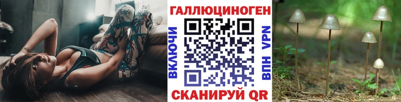 даркнет сайт  Дигора  Галлюциногенные грибы Cubensis 